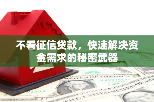 大兴不看征信贷款，快速解决资金需求的秘密武器