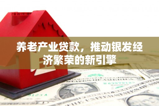 大兴养老产业贷款，推动银发经济繁荣的新引擎