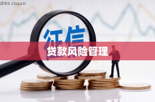 大兴贷款风险管理