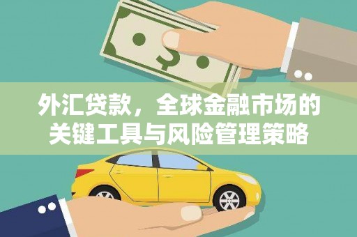 大兴外汇贷款，全球金融市场的关键工具与风险管理策略