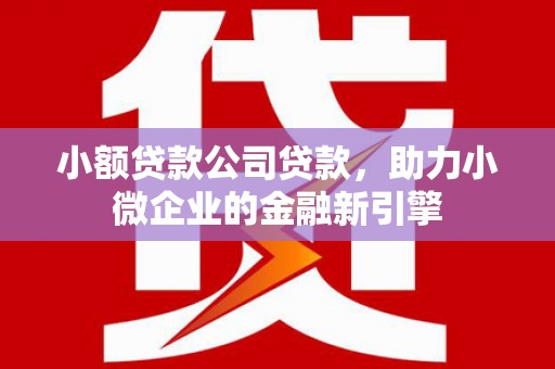 大兴小额贷款公司贷款，助力小微企业的金融新引擎