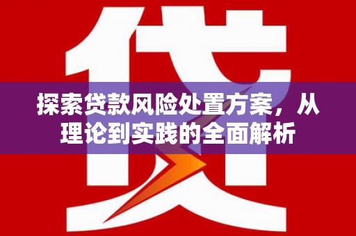 大兴探索贷款风险处置方案，从理论到实践的全面解析