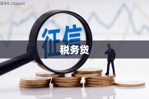 大兴税务贷