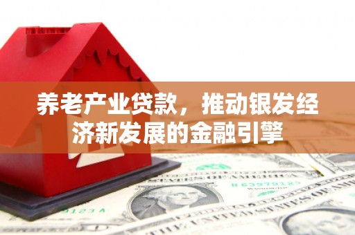 大兴养老产业贷款，推动银发经济新发展的金融引擎