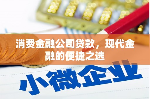 大兴消费金融公司贷款，现代金融的便捷之选