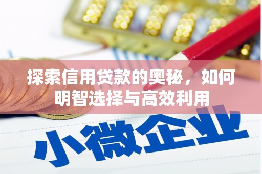 大兴探索信用贷款的奥秘，如何明智选择与高效利用