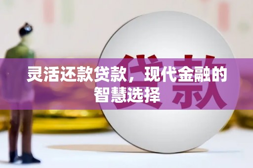 大兴灵活还款贷款，现代金融的智慧选择