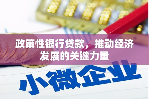 大兴政策性银行贷款，推动经济发展的关键力量