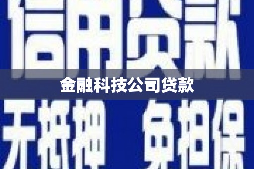 大兴金融科技公司贷款