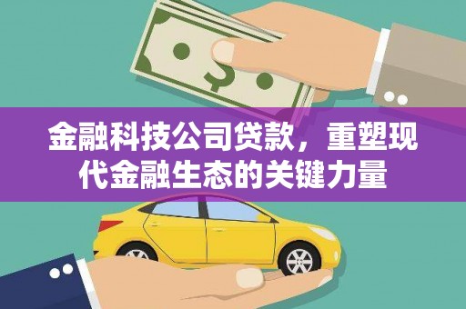 大兴金融科技公司贷款，重塑现代金融生态的关键力量