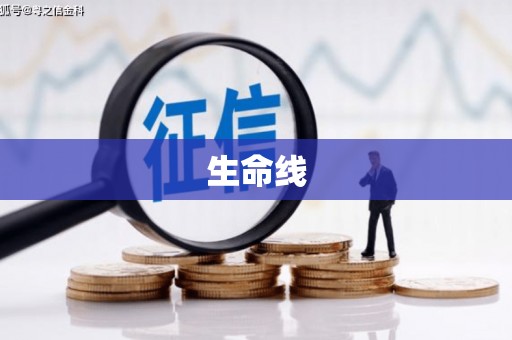大兴生命线