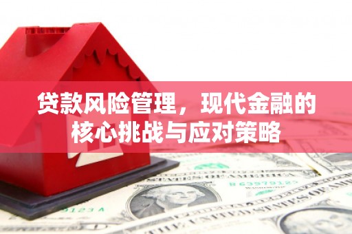 大兴贷款风险管理，现代金融的核心挑战与应对策略