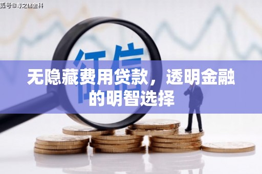 大兴无隐藏费用贷款，透明金融的明智选择