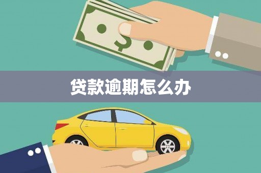 大兴贷款逾期怎么办