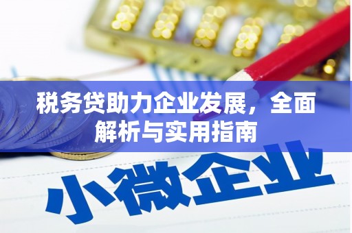 大兴税务贷助力企业发展，全面解析与实用指南