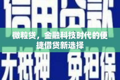 大兴微粒贷，金融科技时代的便捷借贷新选择