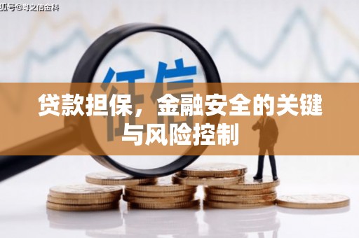 大兴贷款担保，金融安全的关键与风险控制